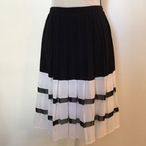 Beautiful skirt🎲pleated
